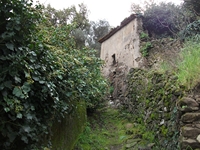 cantara gurne23122011 229
